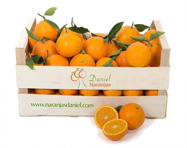 Oranges de table valenciennes
