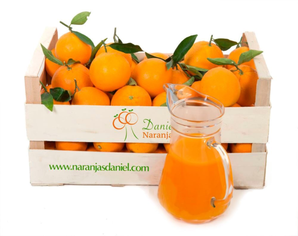 Valencian Juicing Oranges