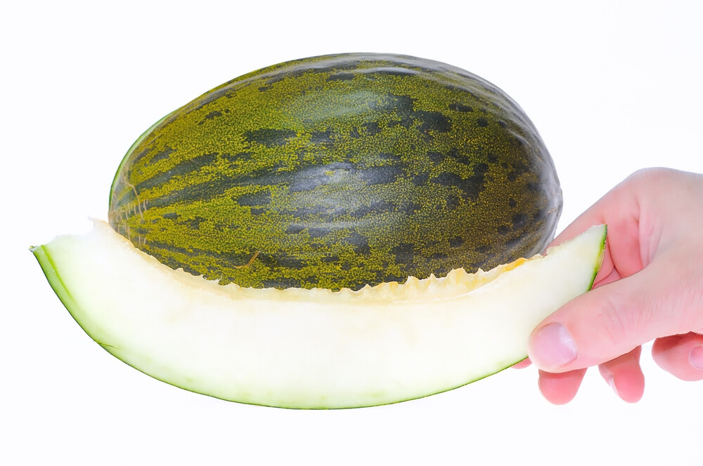 Guía definitiva para conservar el melón piel de sapo en casa