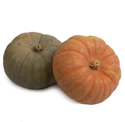 Comprar calabaza natural valenciana dulce 100% natural 🥇