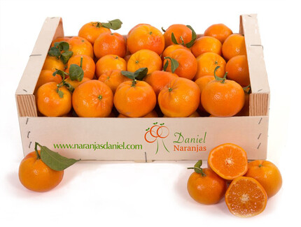 Comprar Mandarinas Tango Gold Online | Naranjas Daniel