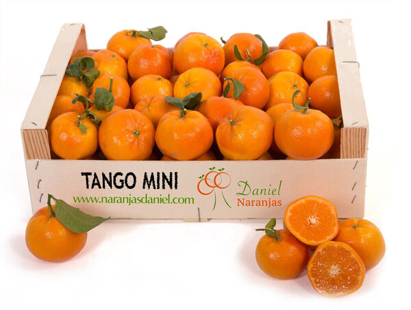 Mandarinas Tango MINI