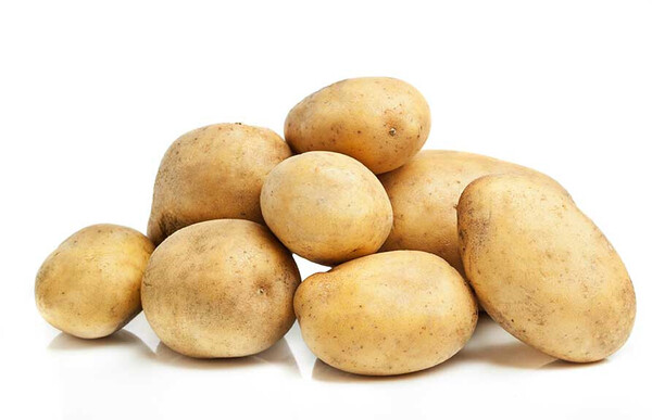Junge saure Kartoffel
